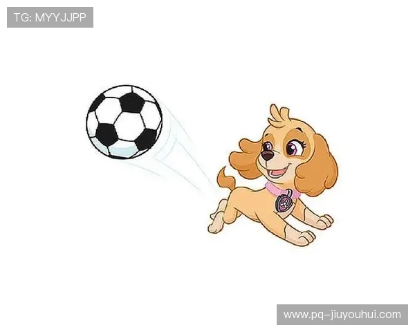 围绕狗狗彩色足球玩具的趣味互动陪伴新体验全方位快乐探索之旅